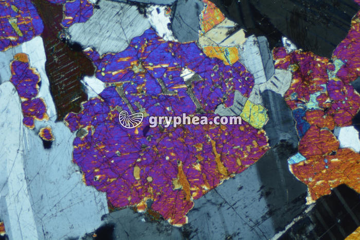 Pyroxène dans gabbro LPA x6,3 - gryphea.com
